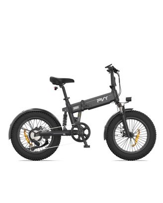 PVY FAT BIKE