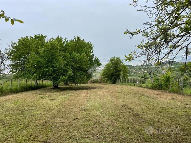 TER. AGRICOLO A SAN CESAREO