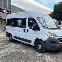 Minibus 9 posti per disabili usato Fiat Ducato 290