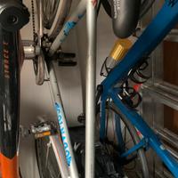 BICI DA PASSEGGIO COLNAGO