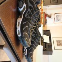 sneakers scarpe Nike air max plus TN (anno 2016)