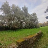 TER. AGRICOLO A MARINO