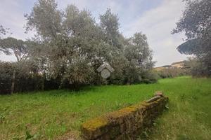 TER. AGRICOLO A MARINO