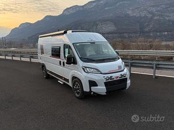 Roller Team Livingstone Duo XL Sport Limited