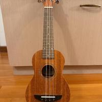 Ukulele