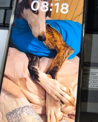 realme 12x