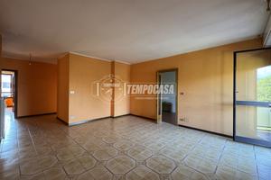 5 LOCALI LIBERO SUBITO