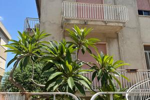 Appartamento in villa , corso Savoia 87 Rosolini