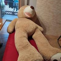 Orso peluche gigante