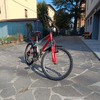 bici bimbo ruota diam 20"
