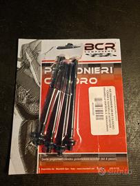 prigionieri cilindro minarelli verticale 