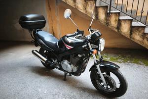 Suzuki GS 500 anno 2005