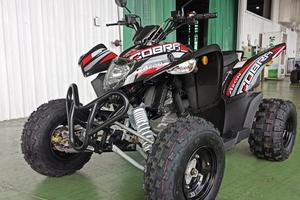 Aeon Cobra 400 SX