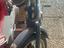 Immagine 2