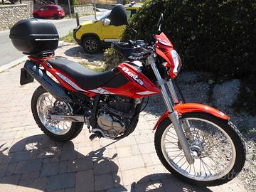 Beta Alp 4.0