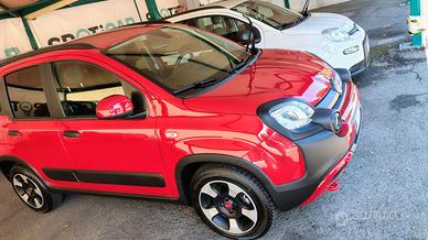 Panda Cross