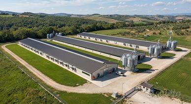 Cèrco capannoni avicoli in vendìta e affìtto