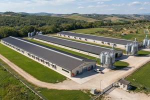 Cèrco capannoni avicoli in vendìta e affìtto
