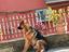 Immagine 2