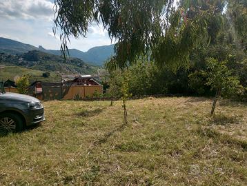 Terreno agricolo