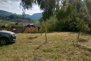 Terreno agricolo