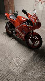 Derbi replica 50