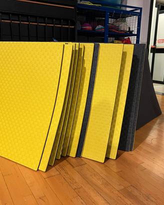 Tatami professionale spessore 2 cm