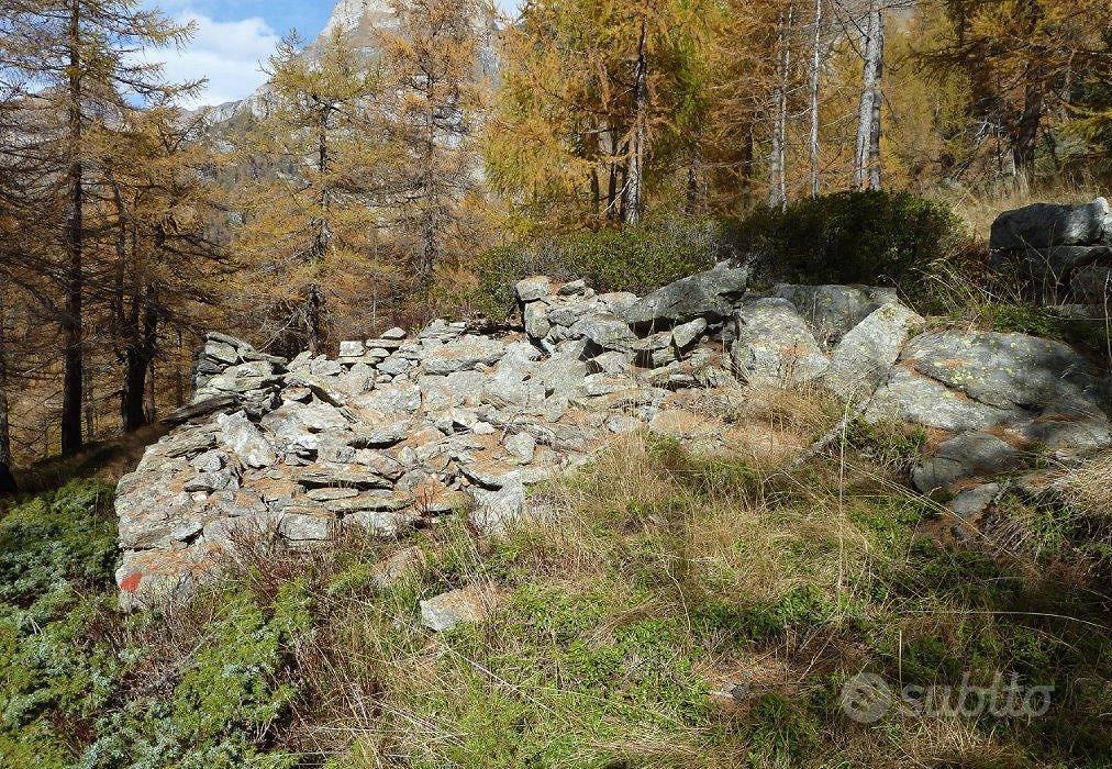 Rustico/Casale/Corte Varzo [BorCiusaB0626VRG] - Vista 2