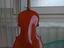 Immagine 1