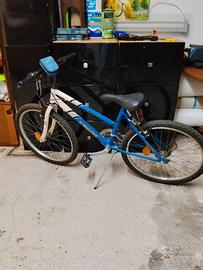 Bicicletta ragazzo