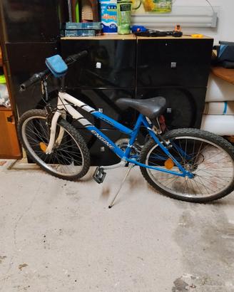 Bicicletta ragazzo
