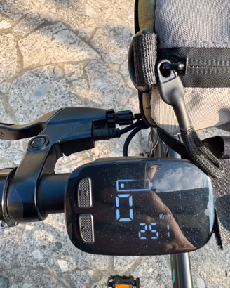 Bici elettrica ebike fiido d21