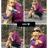 Ugo 6 mesi