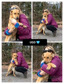 Ugo 6 mesi