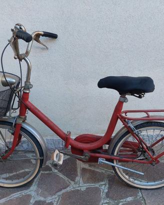 Bicicletta pieghevole