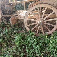 Carro agricolo per buoi d'epoca 