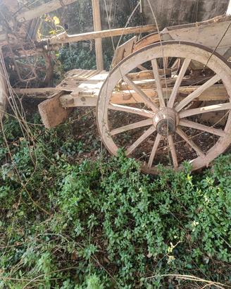 Carro agricolo per buoi d'epoca 