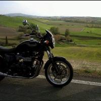 Triumph Bonneville - 2010