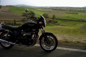 Triumph Bonneville - 2010
