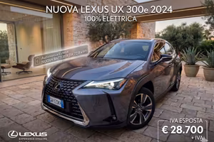 LEXUS UX Full Electric LUXURY BATTERY 72.8 KWH
