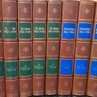 Serie libri piante e terra