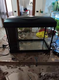 acquari nuovi Amtra 30 litri e 60 litri 