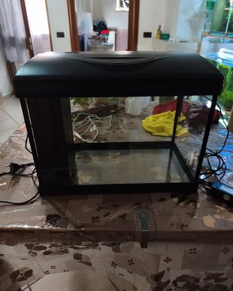 acquari nuovi Amtra 30 litri e 60 litri 