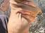 Immagine 5
