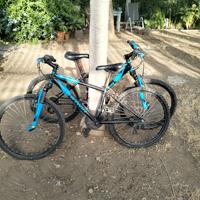 bici Mountain bike 