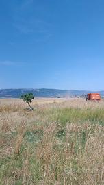 Si affittano terreni agricoli ad Apricena, 10ettar