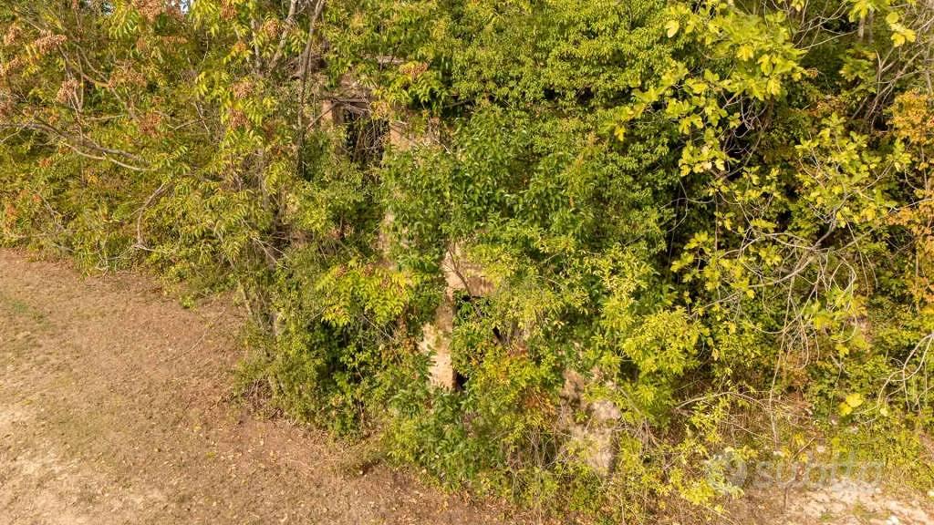 Rustico / Casale di 45 m² a Poggio Moiano - Vista 3