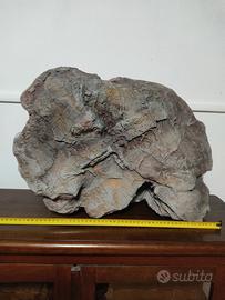 Roccia