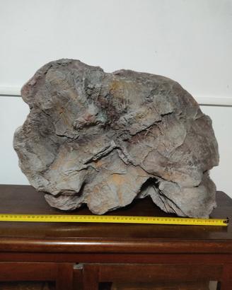 Roccia