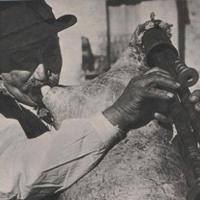 Zampognaro siciliano per novene di Natale.